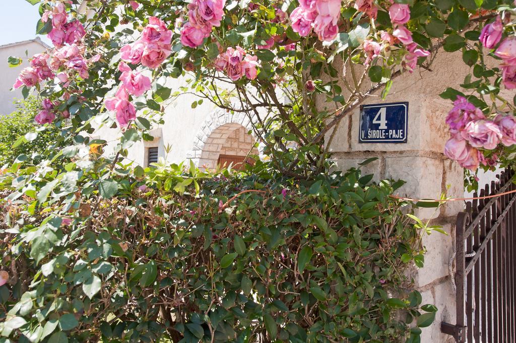 Appartement Alluro